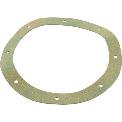 07017-0079 Gasket Pentair Sta-Rite Vinyl/StarGuard Main Drain Body