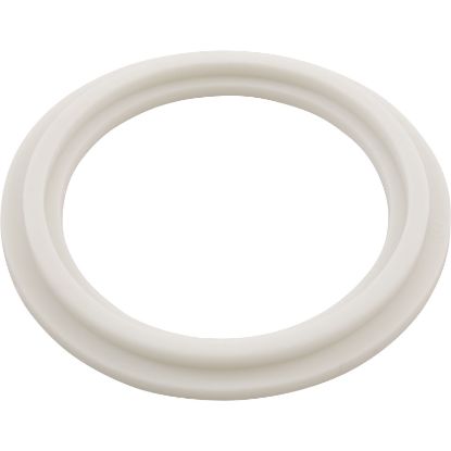 21619 O-Ring/Gasket Balboa 2