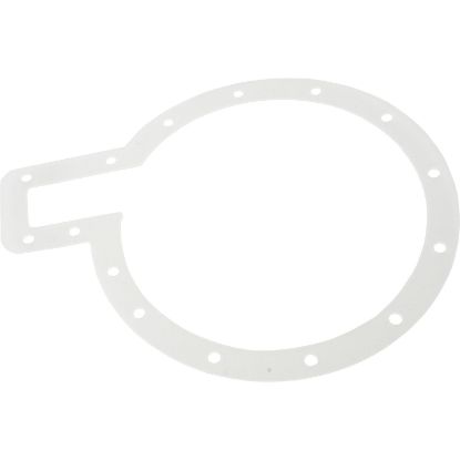 LG29 Gasket Pentair L79BL Cleaner Gear Housing