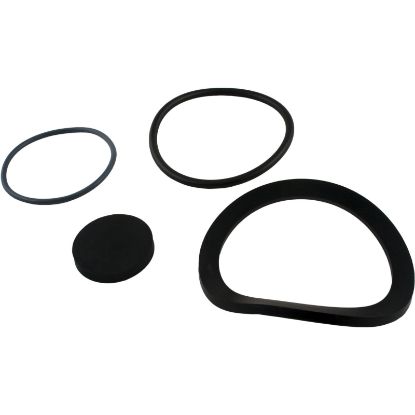 R0488400 Seal Kit Zodiac Jandy JS60-SM/JS100-SM Drain Fitting