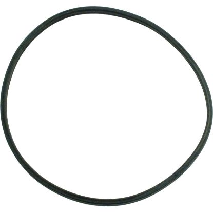 U9-376 O-Ring Pentair StaRite DuraGlas II Insert Pre 1998 O-113