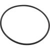 351446 O-Ring Pentair IntelliFloXF/IntelliProXF Seal Plate