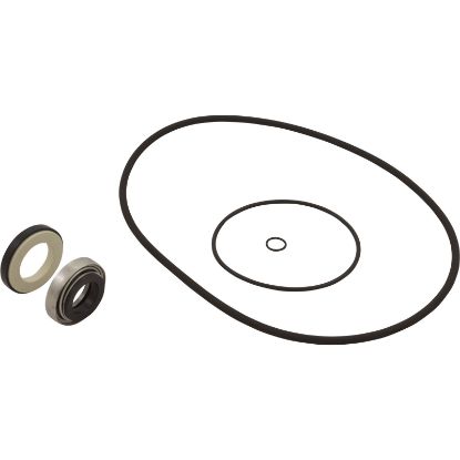 HCXP6004A O-Ring/Gasket Kit Hayward HCP