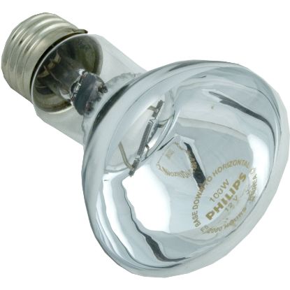 SPX0550Z4 Replacement Bulb Hayward Astrolite II 12v 100w