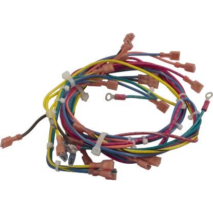 011608F Wire Harness Raypak 130A IID