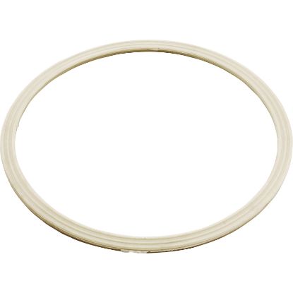 711-8010 Grommet Gasket-Dyna Flo Skim Filter