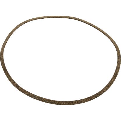 C20-122 Gasket Pentair J-Series High Head Volute