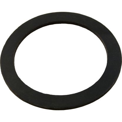 51013300 Gasket Pentair American Products Titan/Sandpiper Bulkhead