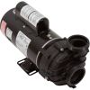 4239207-S PumpBWG Sta-Rite Dura-Jet1.0p230v2-Spd2