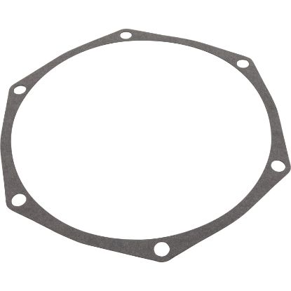 C20-86 Gasket Pentair Sta-Rite DS3 Series Seal Plate 1.0hp/1.5hp