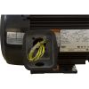 350156S Motor USMotor3.0hp230v/460v3ph1-Spd50HzEQ SeriesPool