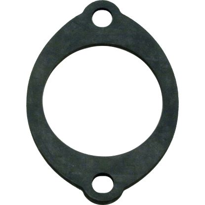 074015 Gasket Pentair Minimax/PowerMax Flow Valve 2