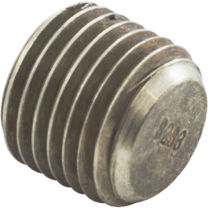 501329 Header Plug Raypak 55B