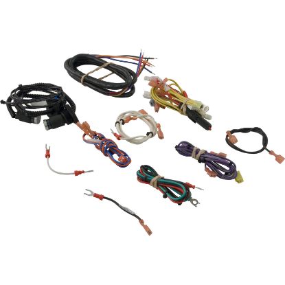 R0470000 Wire Harness Zodiac Jandy LRZE