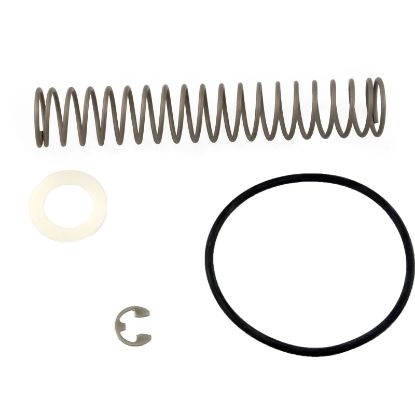 R0327200 Bypass Spring Zodiac Laars LX/LT LX/LT Low NOx