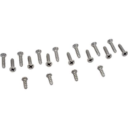 SPX1085Z1A Screw Kit Hayward SP1077/1085 Skimmer Faceplate Self Tap