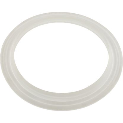 959000 Gasket "L" Balboa Water Group Cyclone Micro Jet