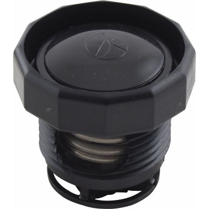 9-100-9006 Pressure Relief Assy Zodiac Polaris 380/280 Black Max Blk