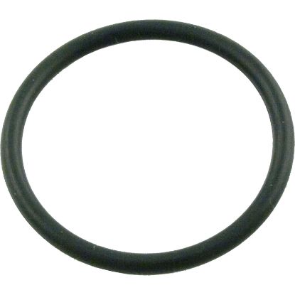 805-0123 O-Ring Waterway 1" Tailpiece O-189