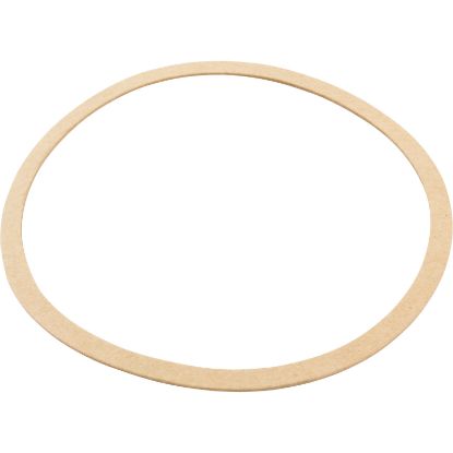  Gasket Sta-Rite CK Pump Seal Plate Generic