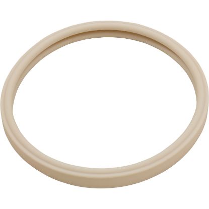 79101600Z Gasket Pentair AmerLite Light Lens 8-3/8"