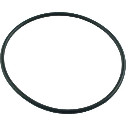 35505-1438 O-Ring Pentair StaRite ABG Seal Plate O-336