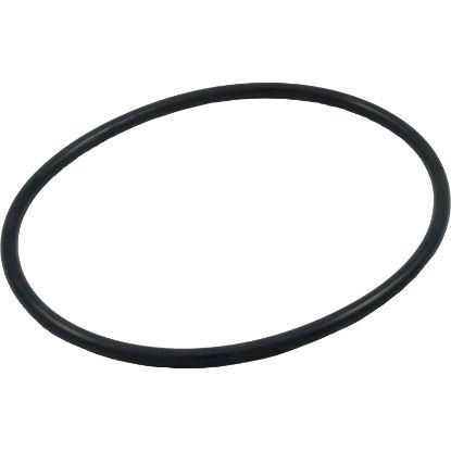 805-0439 O-Ring Waterway SVL56/Supreme Trap Lid