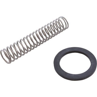 R0304500 Bypass Valve Spring Zodiac Laars HI-E2