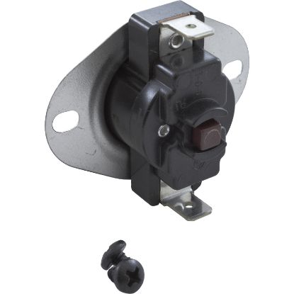 011745F Roll Out Switch Raypak 207A Optional