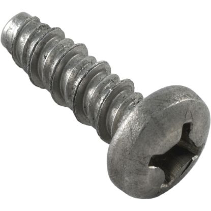 98207200 Screw Pentair 13-16 x 1-1/4