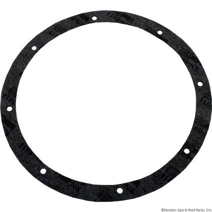 79200300 Light Niche Gasket Kit Pentair Amerlite 8-Hole Vinyl