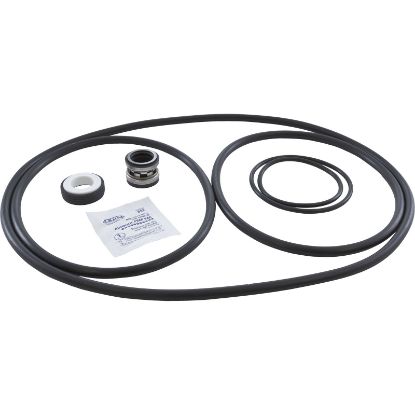 PSK-PF1 Pump Rebuild Kit Pentair/PacFab Challenger with Viton Seal