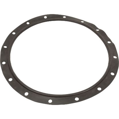 723R4140120 Gasket Lid Astral Vert Filters 47"/55"/63"/71"/79"/93"